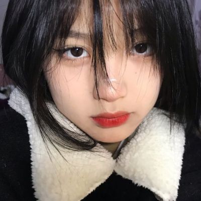 bt伦理电影网