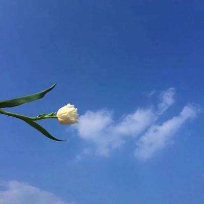 卐秋葵APP下载网址进入卍