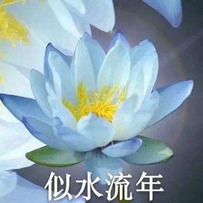 极限越野4修改版