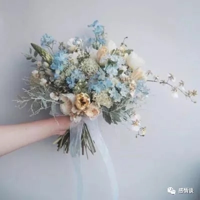 精品伊园甸麻园入口