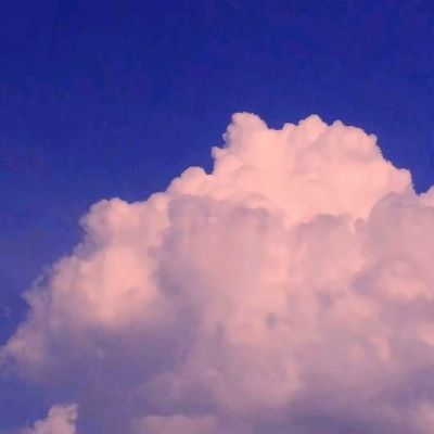 快猫短视频网站-第263集