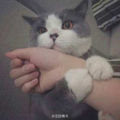 大家来停大卡车3