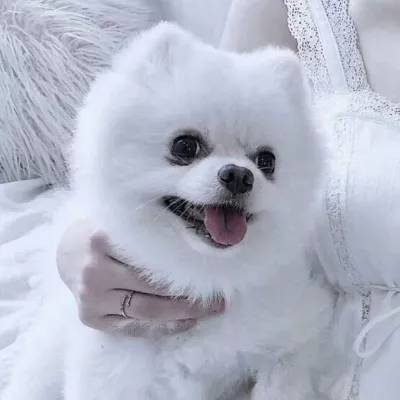 盗金父子选关版