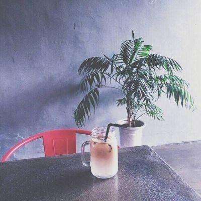 芭比珍珠美人鱼公主