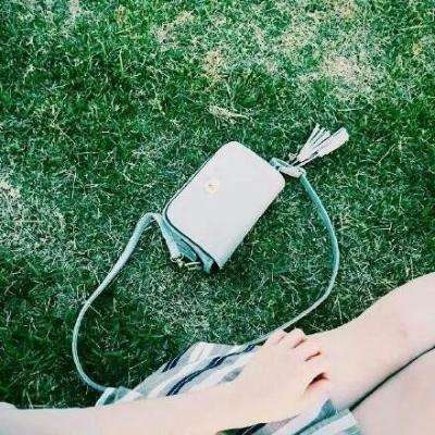 泰公主诗琳通将访华