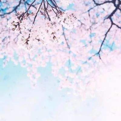 院长捡垃圾被疑作秀