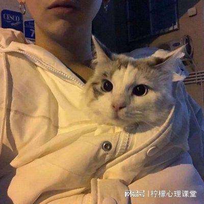 米老鼠煎鸡蛋