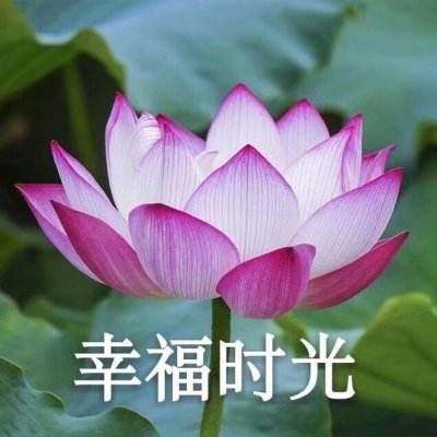 键盘打字手