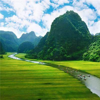 伊朗官员：参与袭击伊朗东南部的恐怖分子已被全部击毙