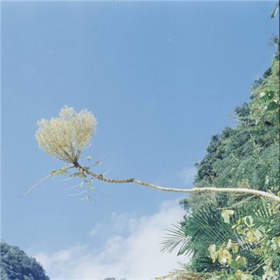 烧烤小屋经营