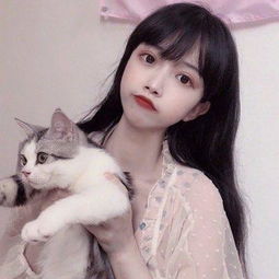 蚂蚁争夺战