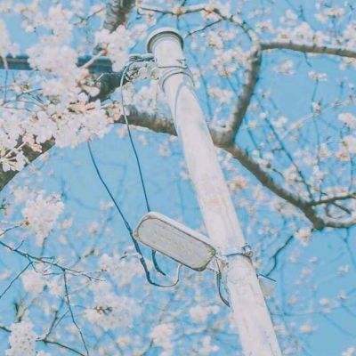 吉普车过轨道