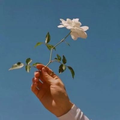 影音先锋看片资源 影音先锋看片资源