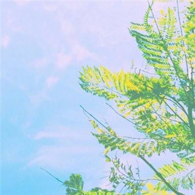 火柴人求生