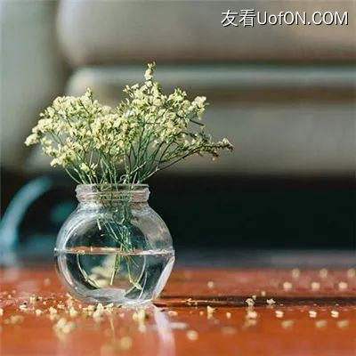 一款费嗓子的游戏