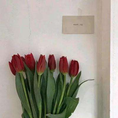 网球比赛