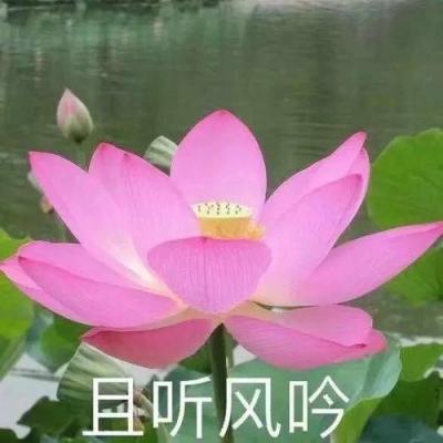 足球热身赛
