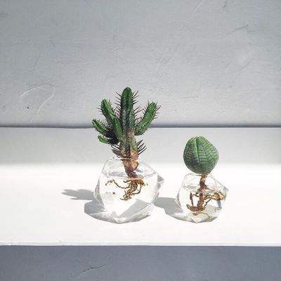 3D跑车竞速赛