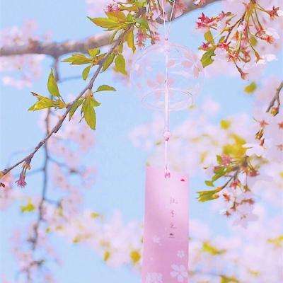 完美发型屋II
