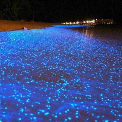 自由摩托驾驶