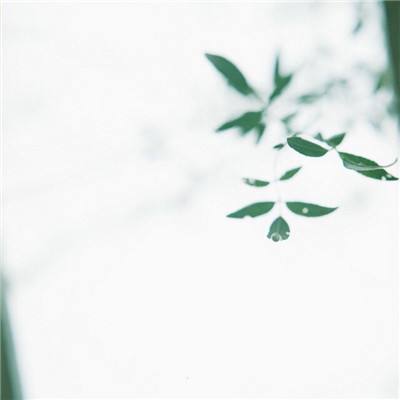 5151hh在线看免费视频 5151hh在线看免费视频