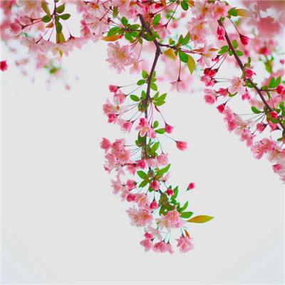 救赎抉择