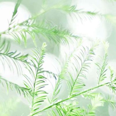 人工桌面