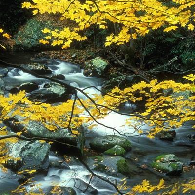 山海经幻想录