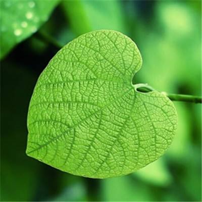 安芯易COO做客深圳交通广播，解码“五大关...