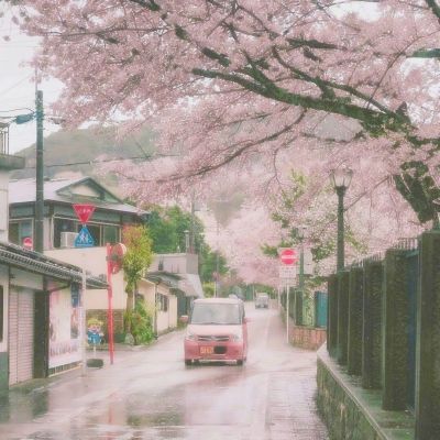 韩媒：文在寅将加入特金会 共同宣布朝鲜战争结束