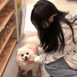 别惹农夫