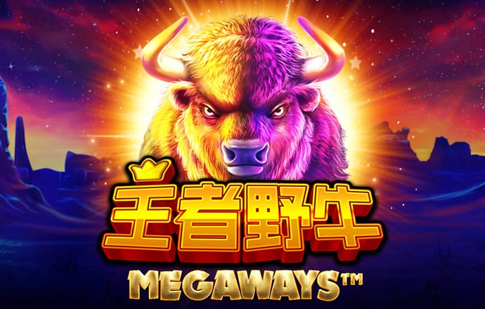 破译中国光伏高速发展之谜
