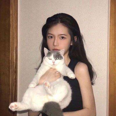 偷天盗影
