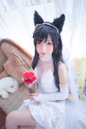 愤怒小鸟上色